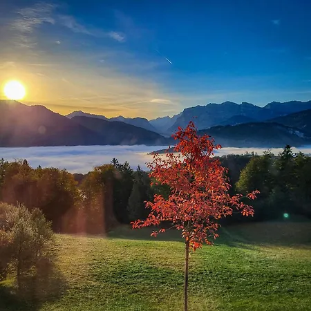 Alpenblickstudio-at Views Of The Alps, Gym And Sauna Lejlighed Brittenberg